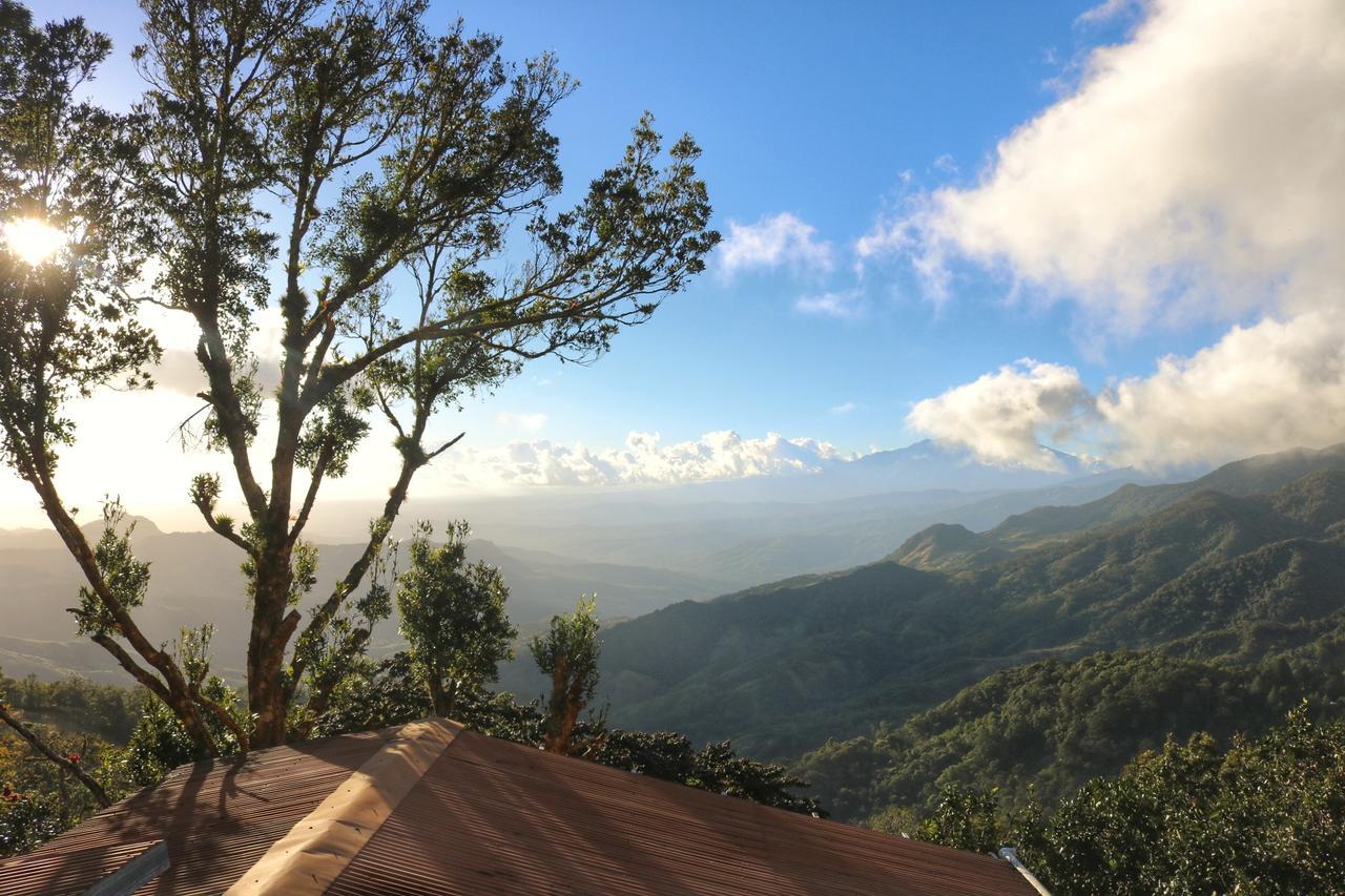 Lost And Found Jungle Hostel Valle Hornito Exterior foto