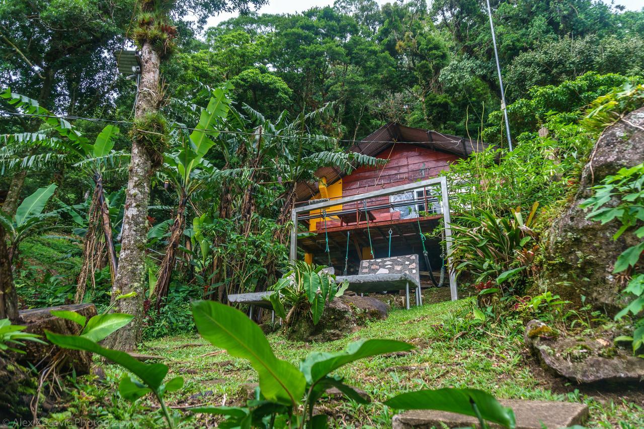 Lost And Found Jungle Hostel Valle Hornito Exterior foto